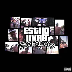 Capa de Estilo Livre