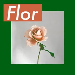 Capa de Flor