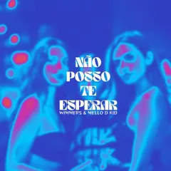 Capa de Não Posso Te Esperar